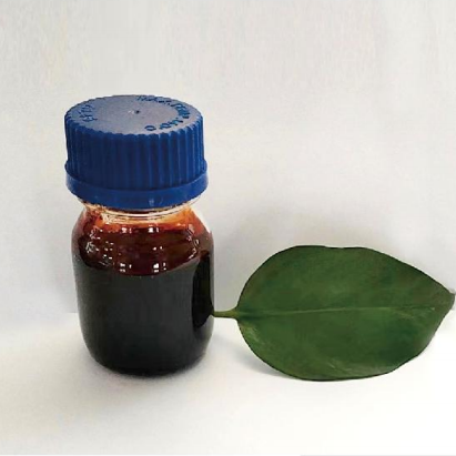 Z-113环氧树脂固化剂